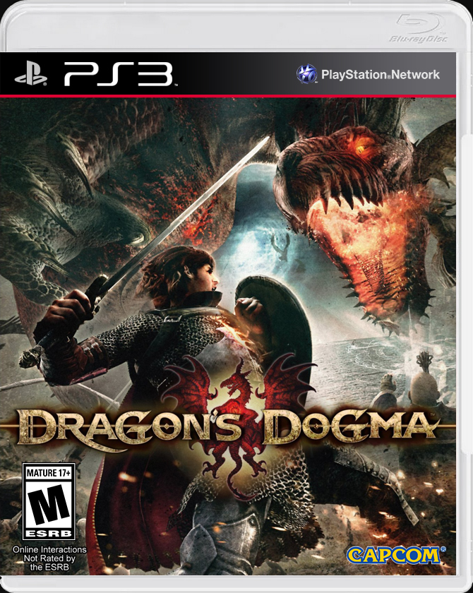 

Dragon's Dogma PS3 Case

