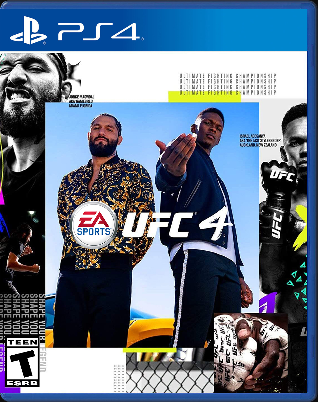 

UFC 4 PS4 Case

