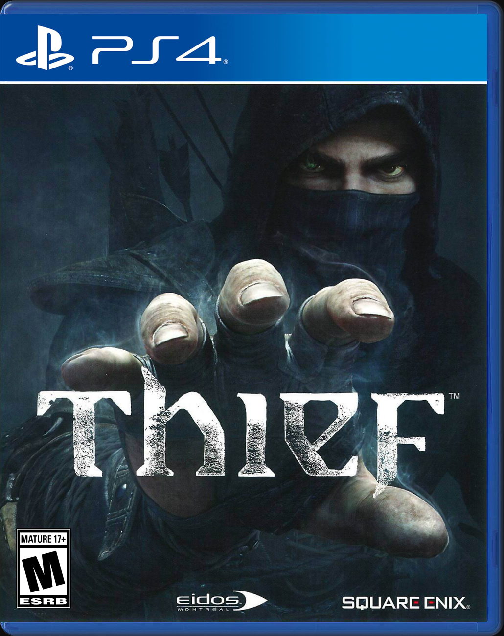 

Thief PS4 Case

